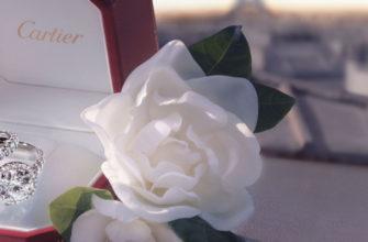 Cartier destinee Ring